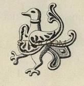 ANIMAL_0135